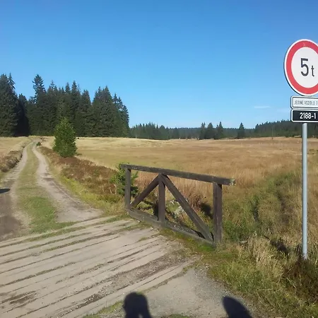 Hirschkopf * Eibenstock